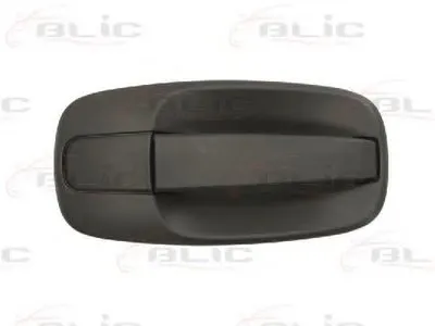 Ручка двери BLIC купить