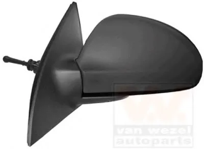 Наружное зеркало VAN WEZEL купить